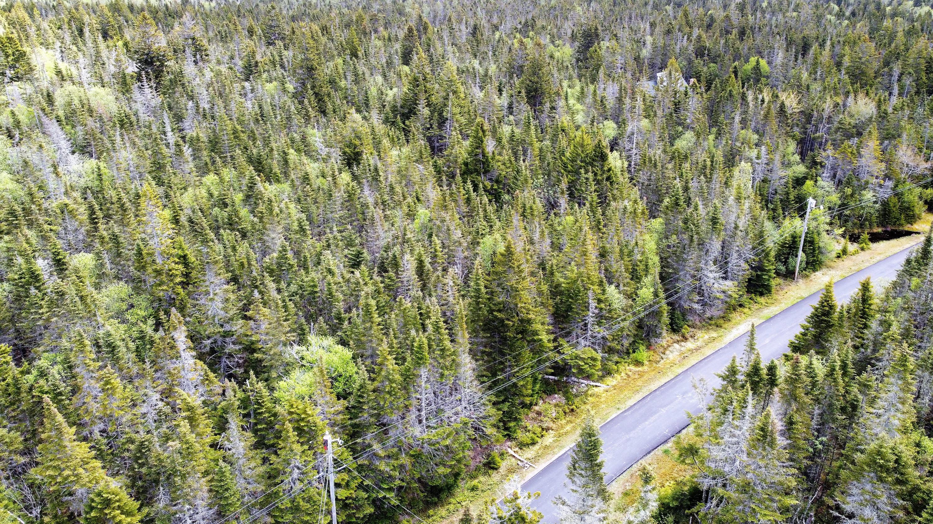 Lot 39 Yoho Head Road Machiasport, ME 04655 - Photo 3 of 15 Aerial of Lot