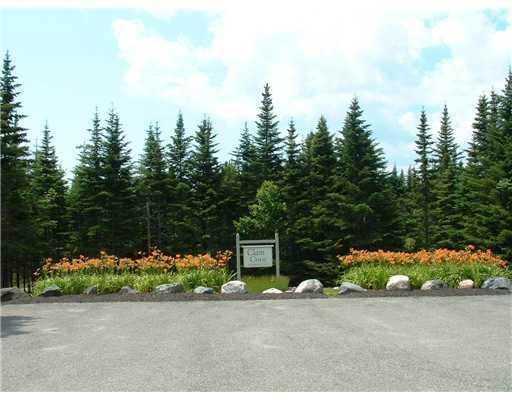 Lot 39 Yoho Head Road Machiasport, ME 04655 - Photo 5 of 15 Clam Cove Common Lot