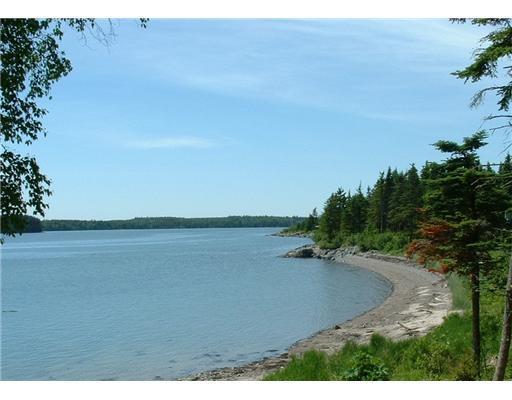 Lot 39 Yoho Head Road Machiasport, ME 04655 - Photo 6 of 15 Clam Cove Common Lot