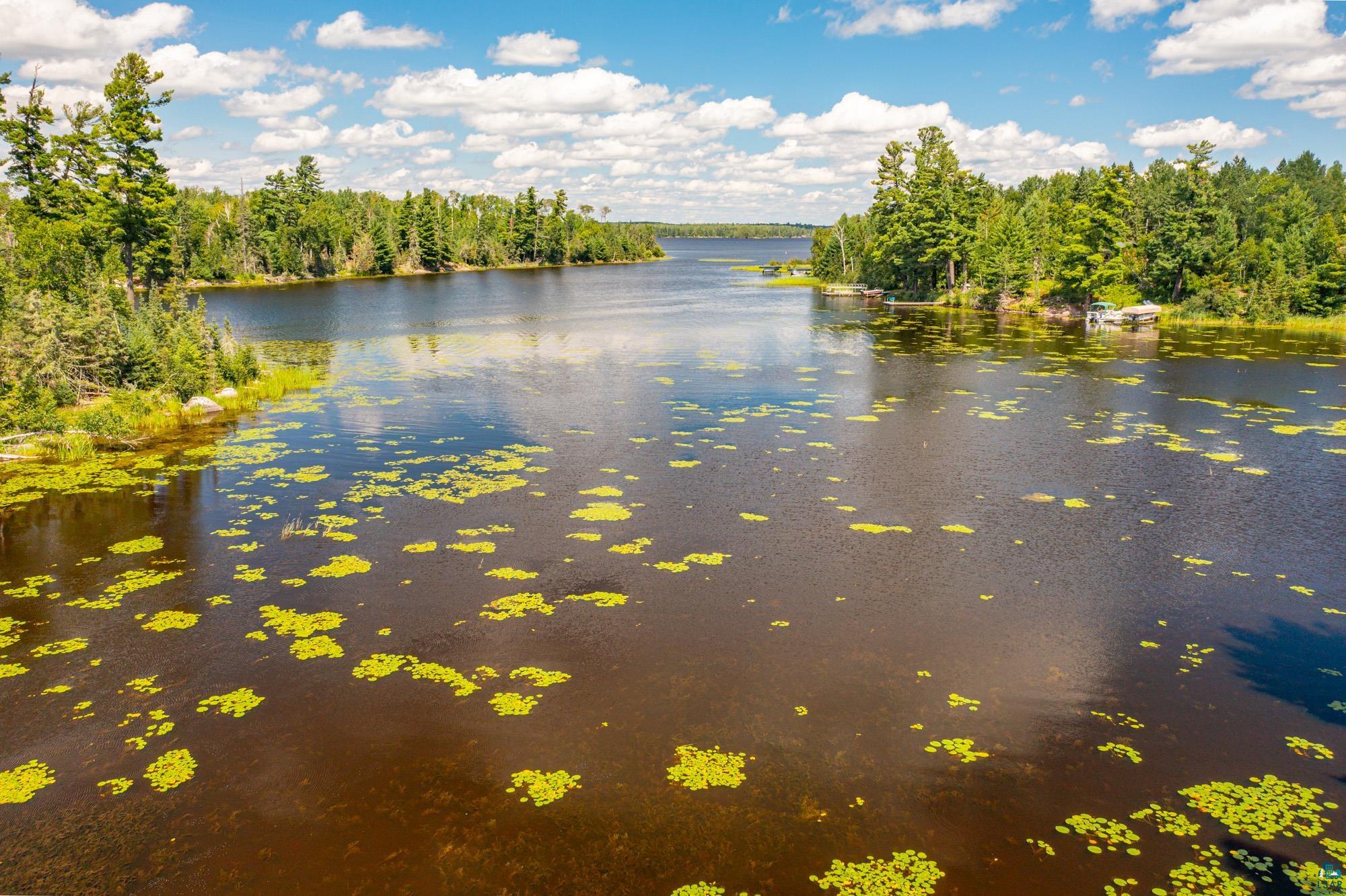 8431 Timber Bay Road Babbitt, MN 55706 - Photo 39 of 44