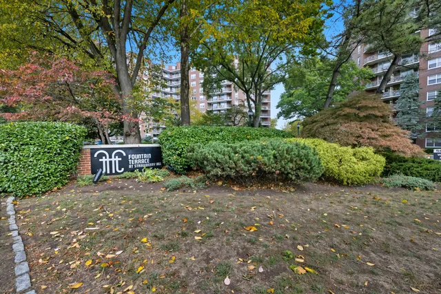a view of a street with a tree