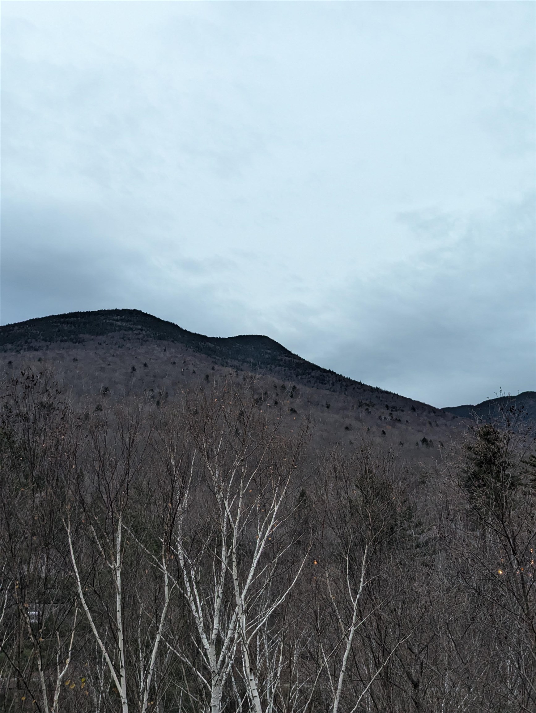 90 Loon Mountain Road, Unit 1162 SLOPESIDE Lincoln, NH 03251 - Photo 44 of 56