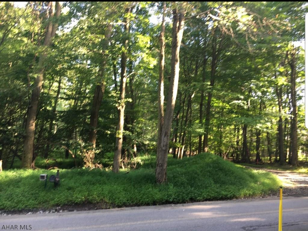 0 Dry Run Road Duncansville, PA 16635 - Photo 2 of 8 Gallery Image 2