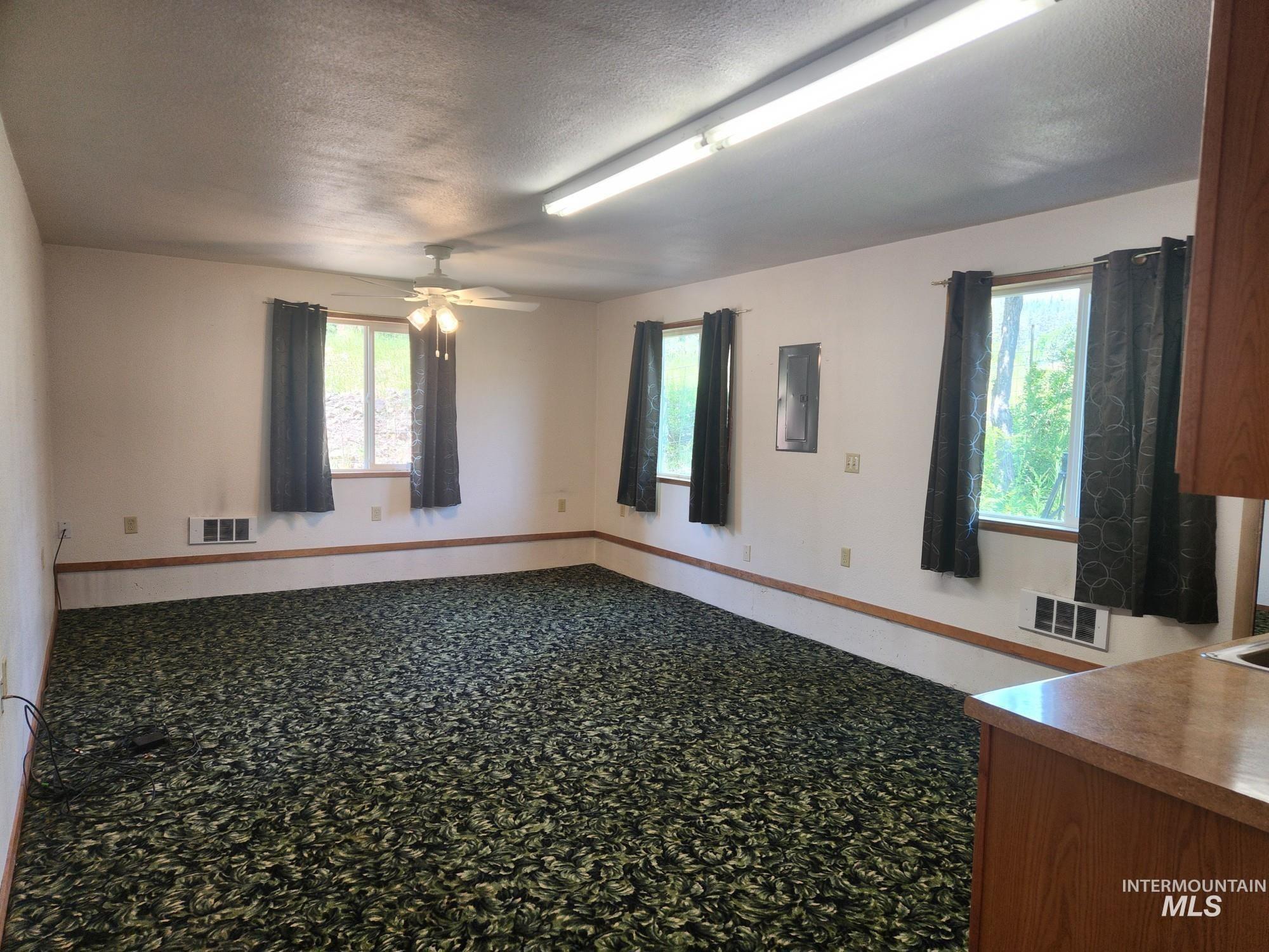 367 Woodland Road Kamiah, ID 83536 - Photo 31 of 49 Carpeted spare room featuring a textured ceiling, ceiling fan, plenty of natural light, and electric panel