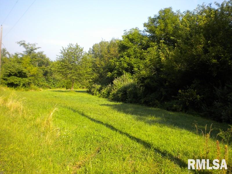 0 Stinson Road Eldorado, IL 62930 - Photo 1 of 2