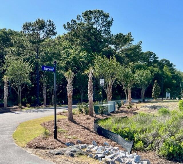 1063 Capersview Court Mount Pleasant, SC 29466 - Photo 3 of 11 Front entrance of community