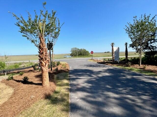 1063 Capersview Court Mount Pleasant, SC 29466 - Photo 7 of 11 Front entrance of community