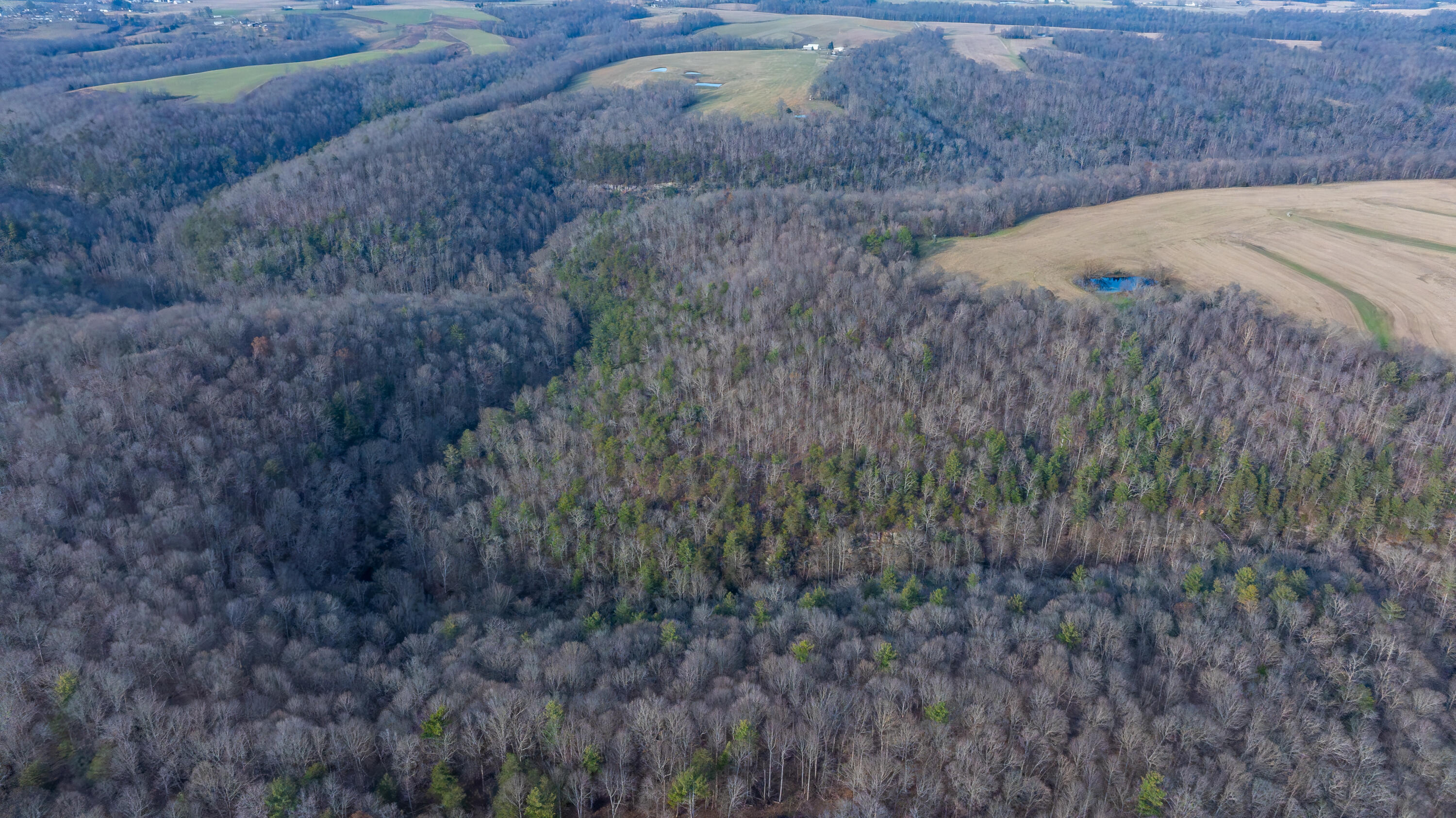 0 Coal Bank Road Sharon Grove, KY 42280 - Photo 6 of 16 DJI_20251212142058_0167_D-HDR