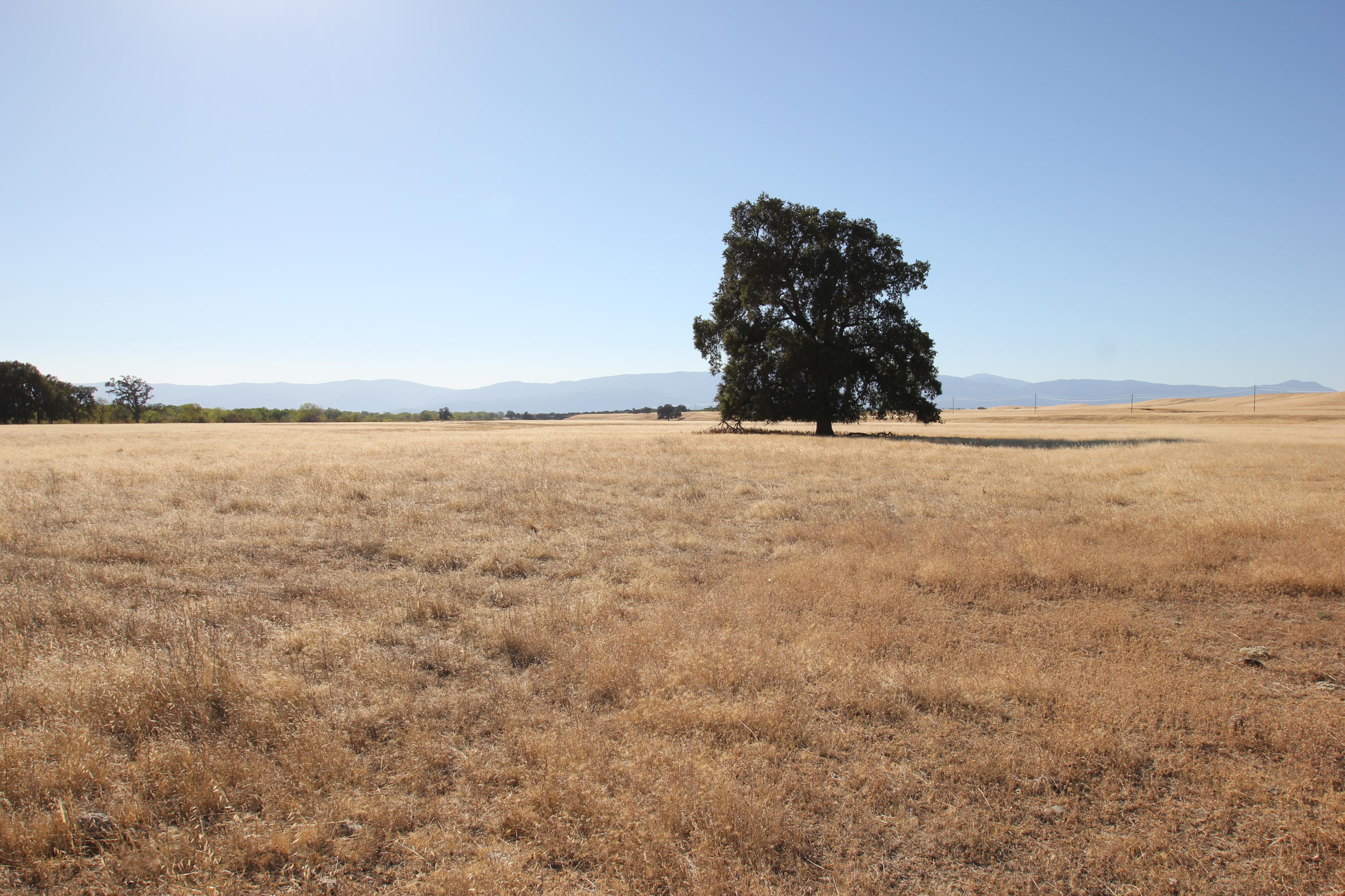 Paskenta Road Corning, CA 96021 - Photo 1 of 17 a view of an ocean beach