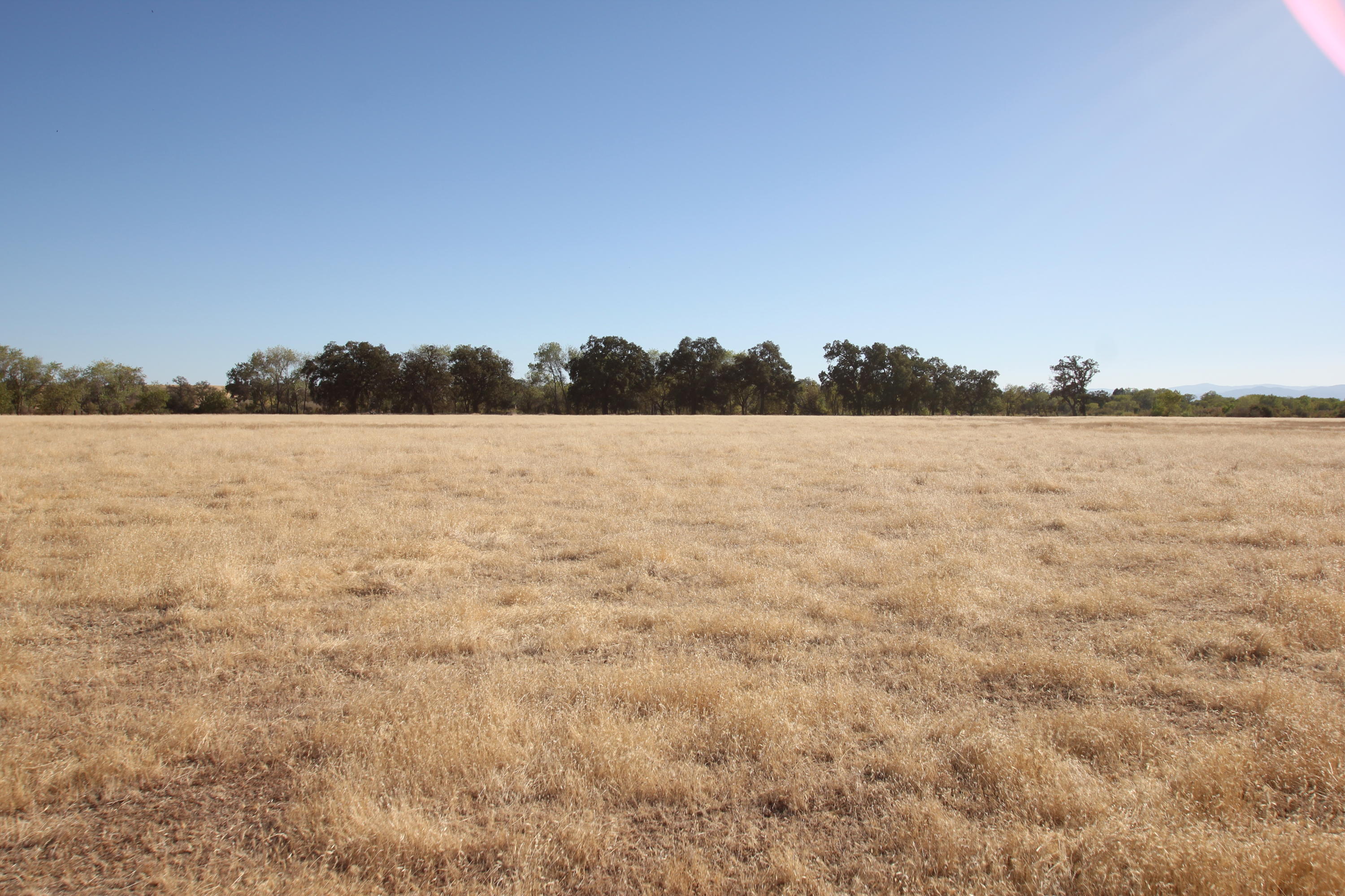 Paskenta Road Corning, CA 96021 - Photo 4 of 17 a view of lake