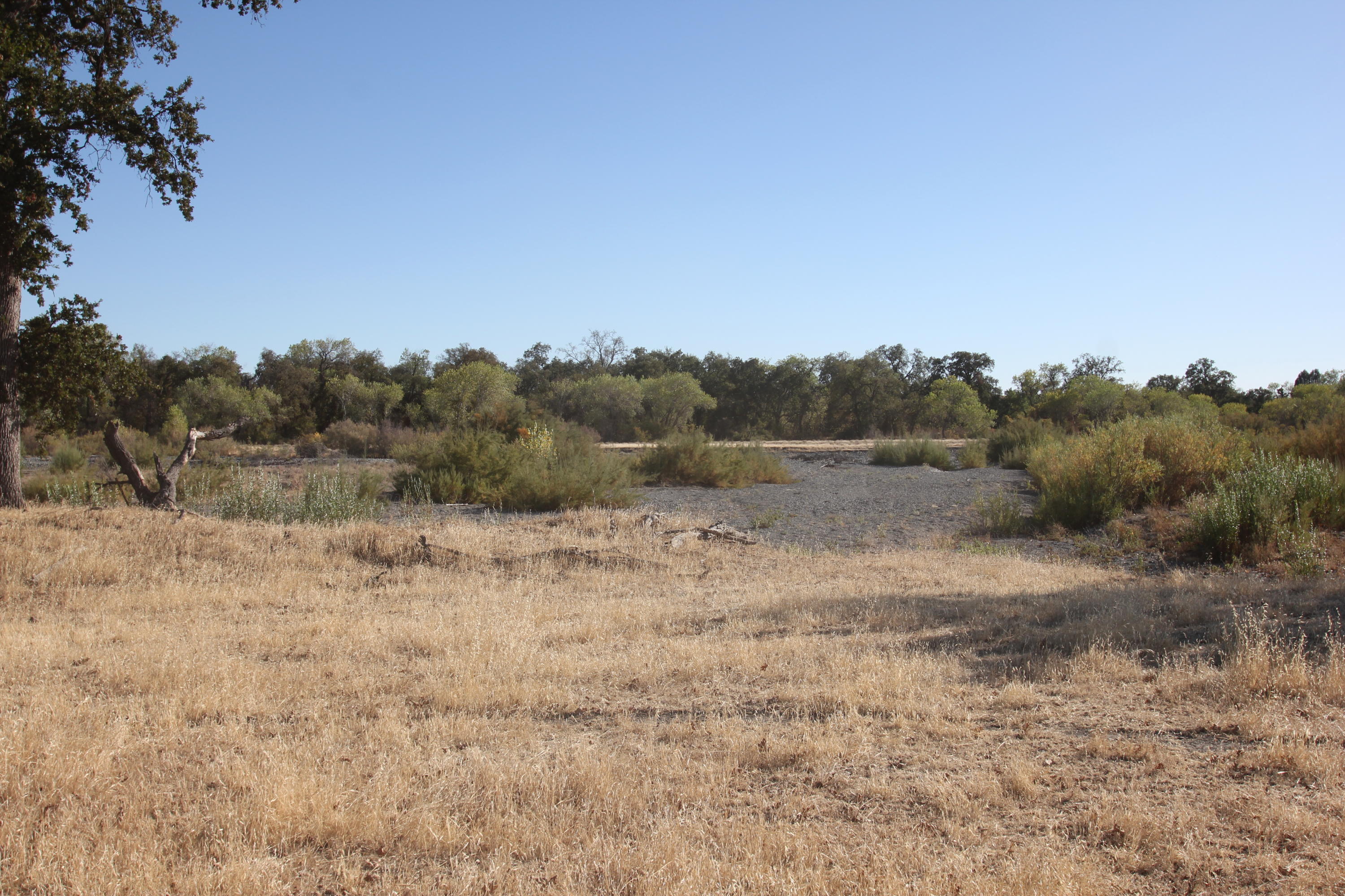 Paskenta Road Corning, CA 96021 - Photo 5 of 17 a view of a field with trees in background