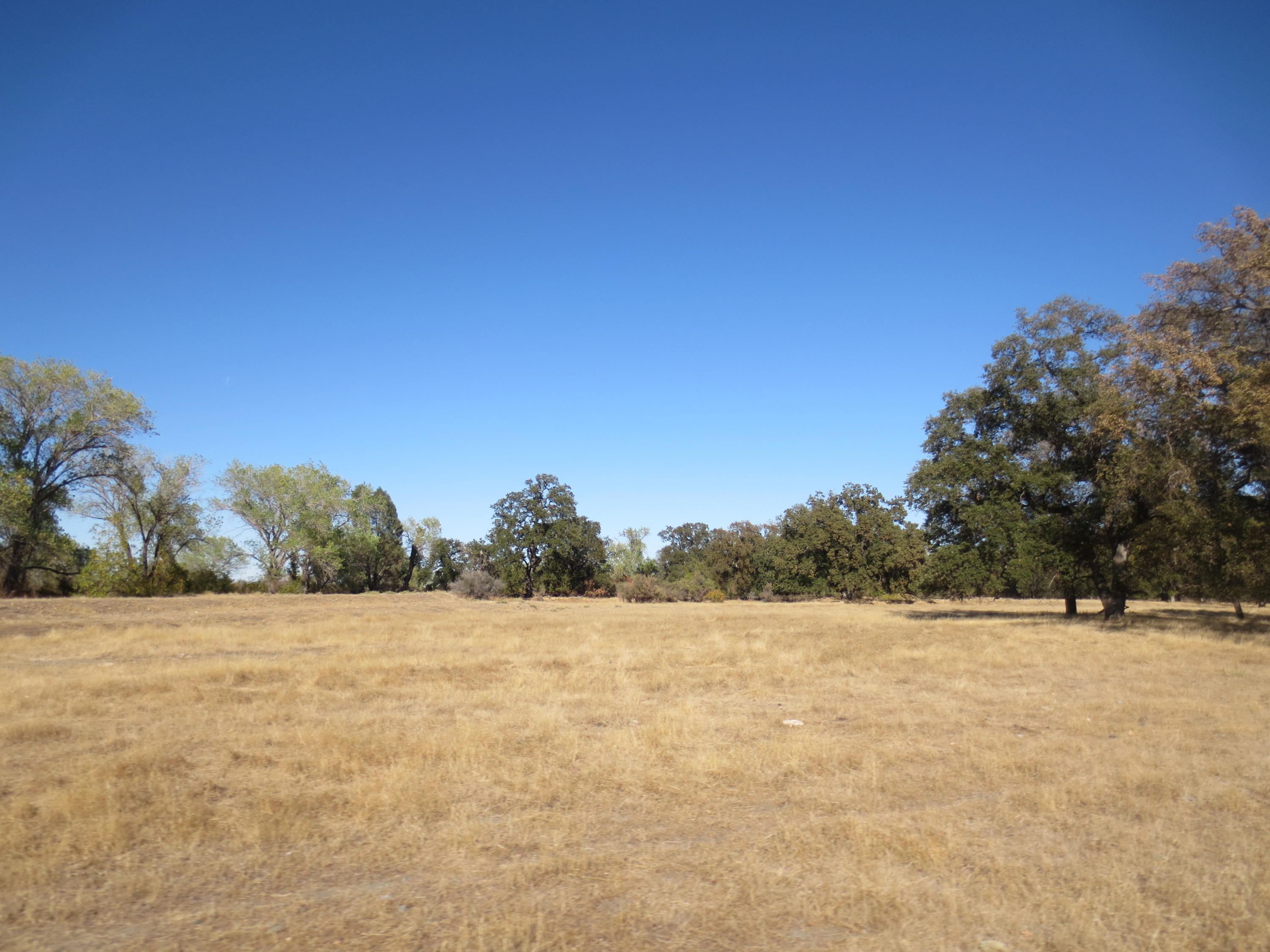 Paskenta Road Corning, CA 96021 - Photo 10 of 17 a view of white field with trees in background