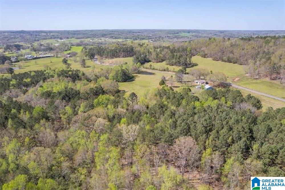 406 Teem Road Cullman, AL 35057 - Photo 19 of 22