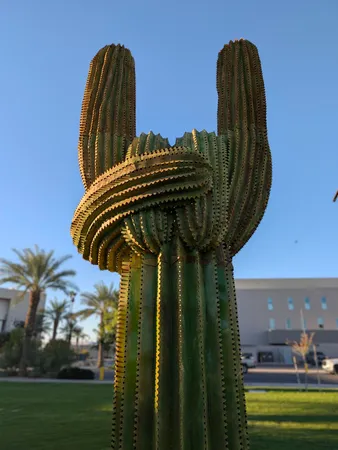 $435,000 | 82930 Corte Lucia, Indio, CA 92201