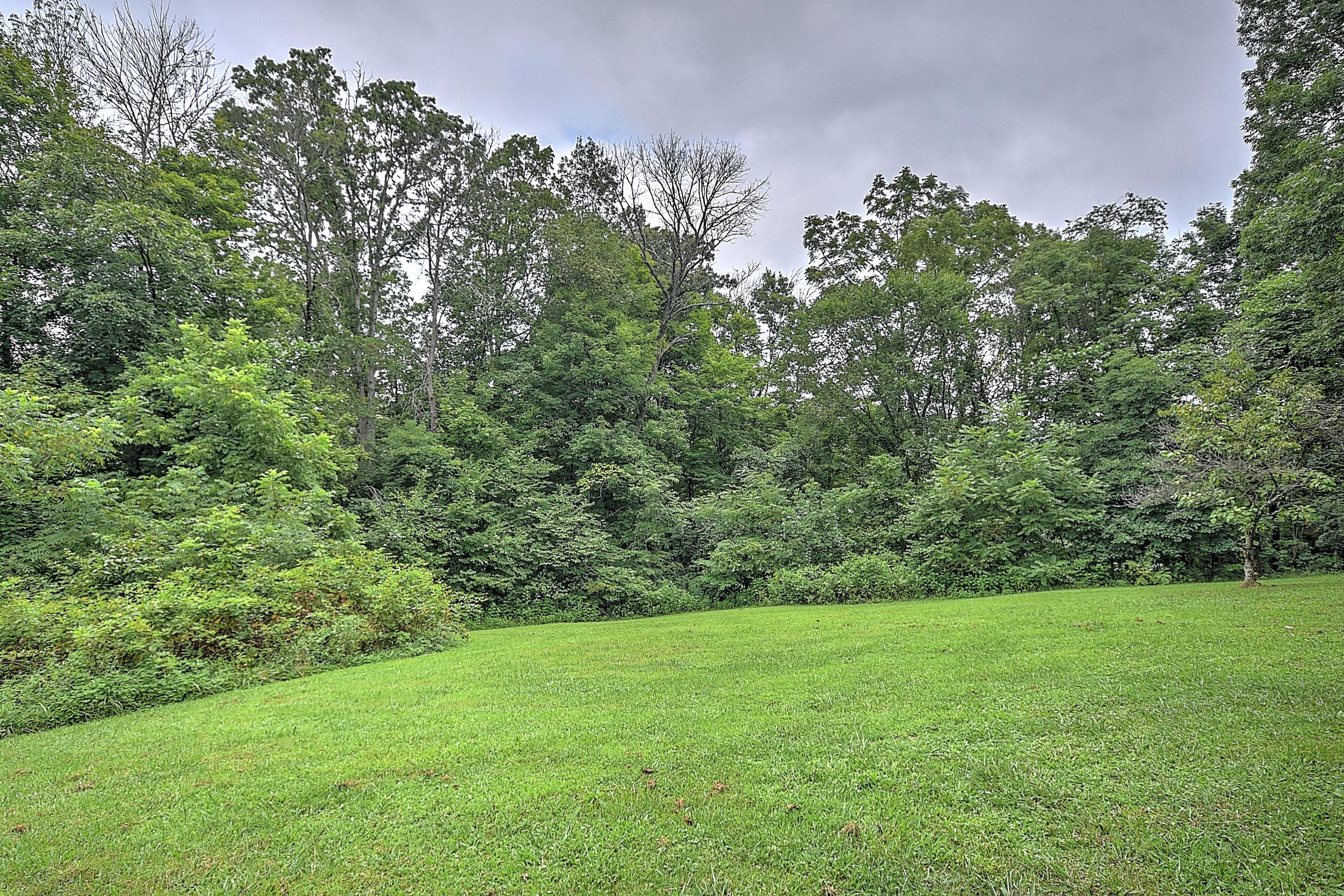 130 Harwood Road Gray, TN 37615 - Photo 41 of 45 130 Harwood Rd-45
