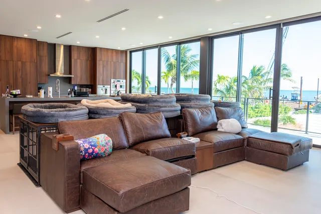 a view of a building with potted plants and large tree