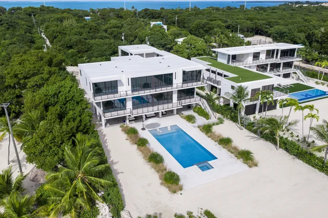 a aerial view of a house with a yard and potted plants