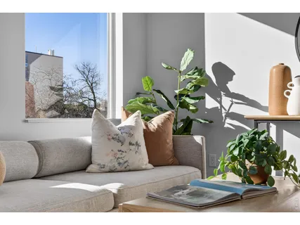 a view of a dining room with furniture and a potted plant