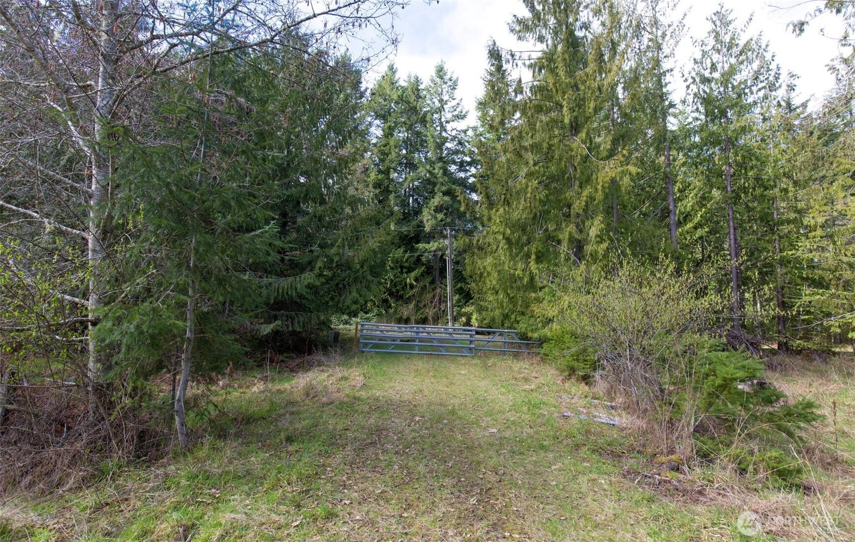 4 Colville Rd Port Port Angeles, WA 98363 - Photo 3 of 37 Gallery Image 3