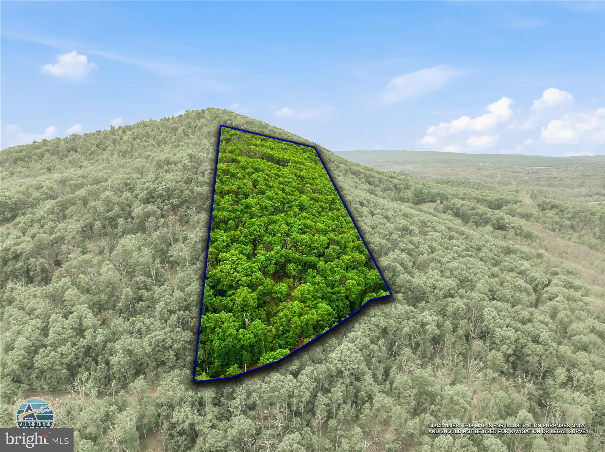 98 Ore Trail Berkeley Springs, WV 25411 - Photo 41 of 46 a view of a garden