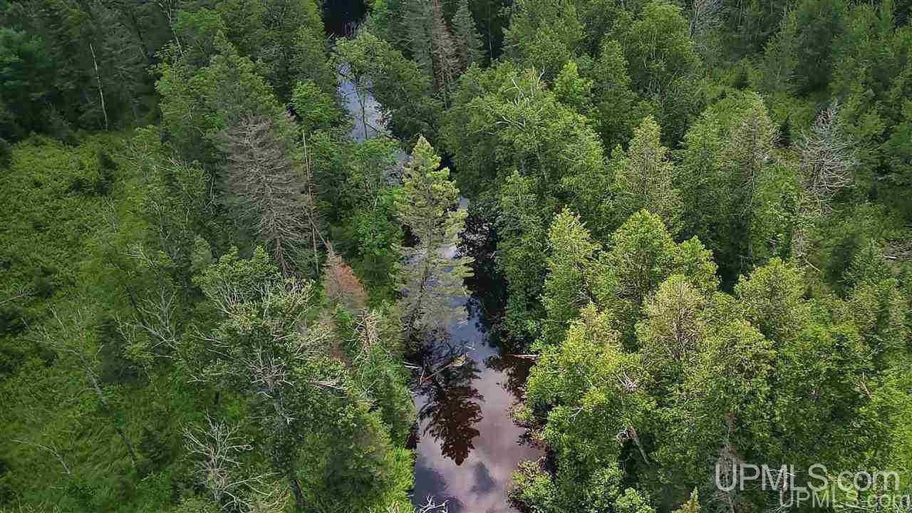 Tbd Off Nowack Road, Unit 1 Powers, MI 49874 - Photo 2 of 32