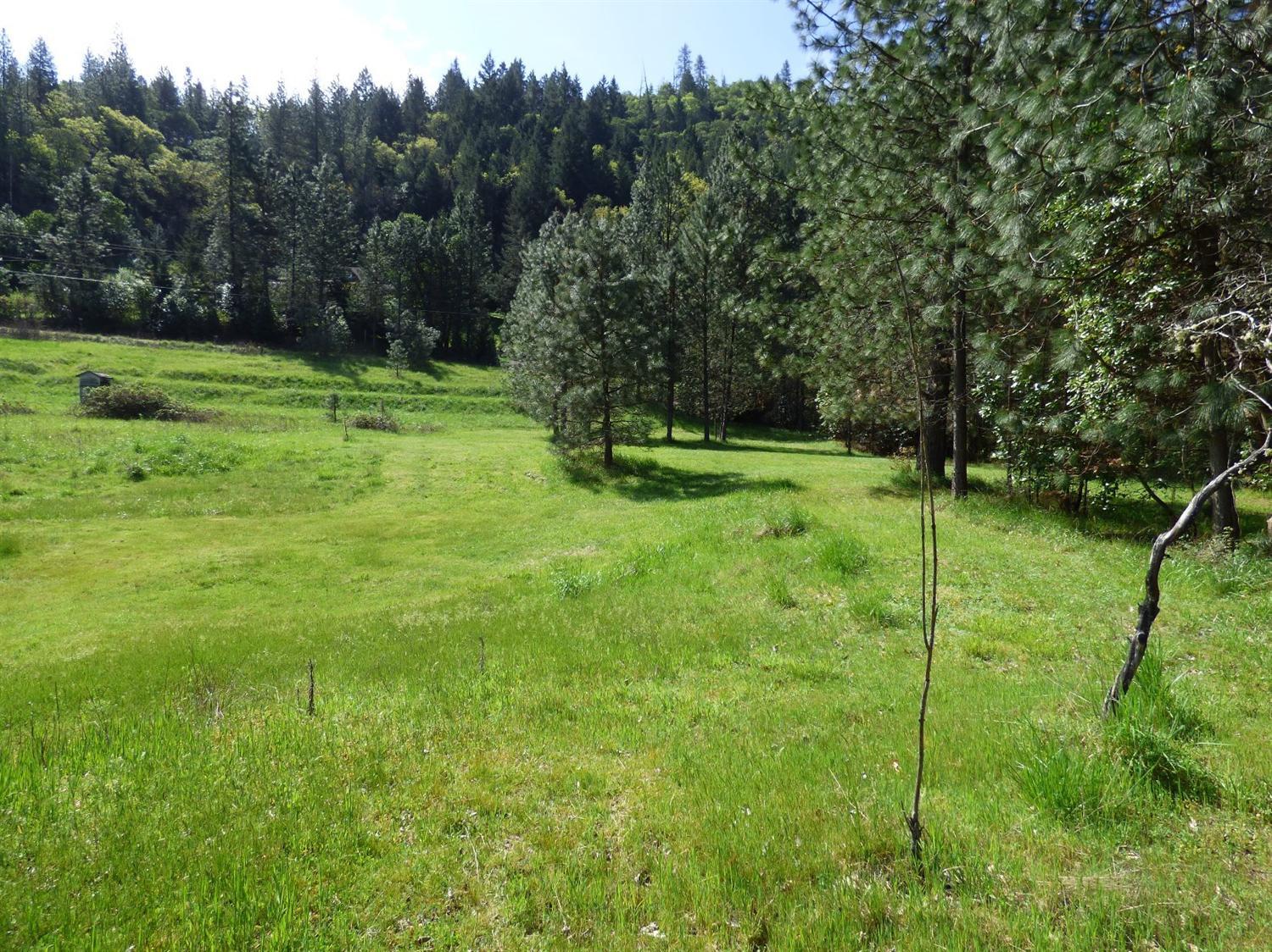 1490 Wards Creek Road Rogue River, OR 97537 - Photo 1 of 7 From creek looking back at road