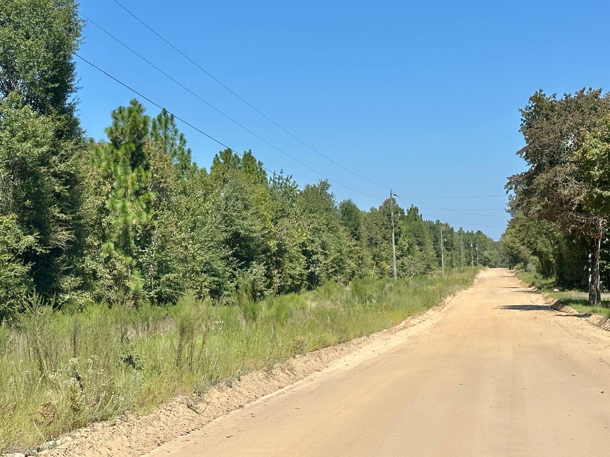 Lot 11 Marie Vann Road Waynesboro, GA 30830 - Photo 2 of 16 Main
