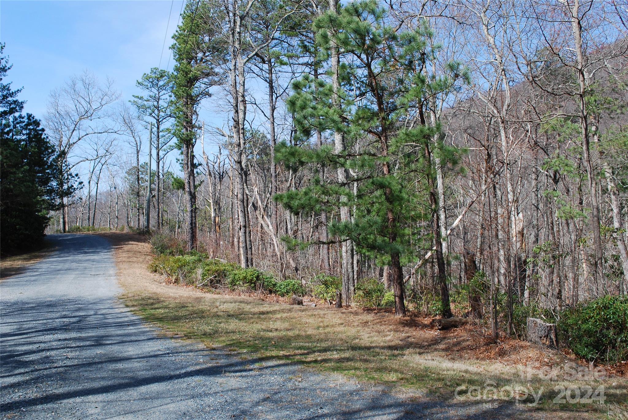 Lot 37-tbd Dugger Firetower Road Boone, NC 28607 - Photo 1 of 14 Gallery Image 1