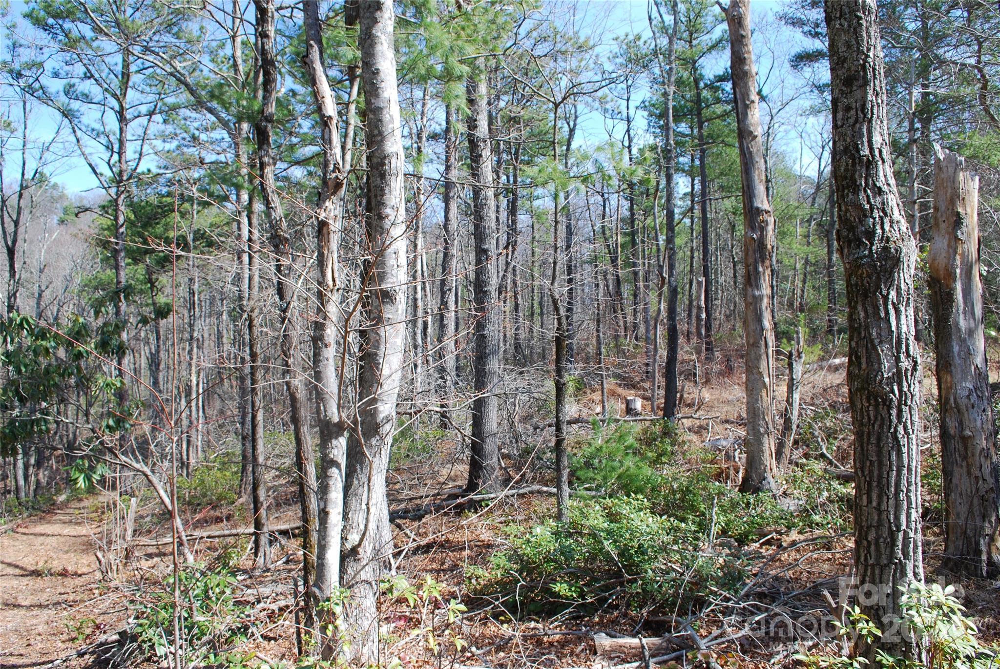 Lot 37-tbd Dugger Firetower Road Boone, NC 28607 - Photo 11 of 14 Gallery Image 11
