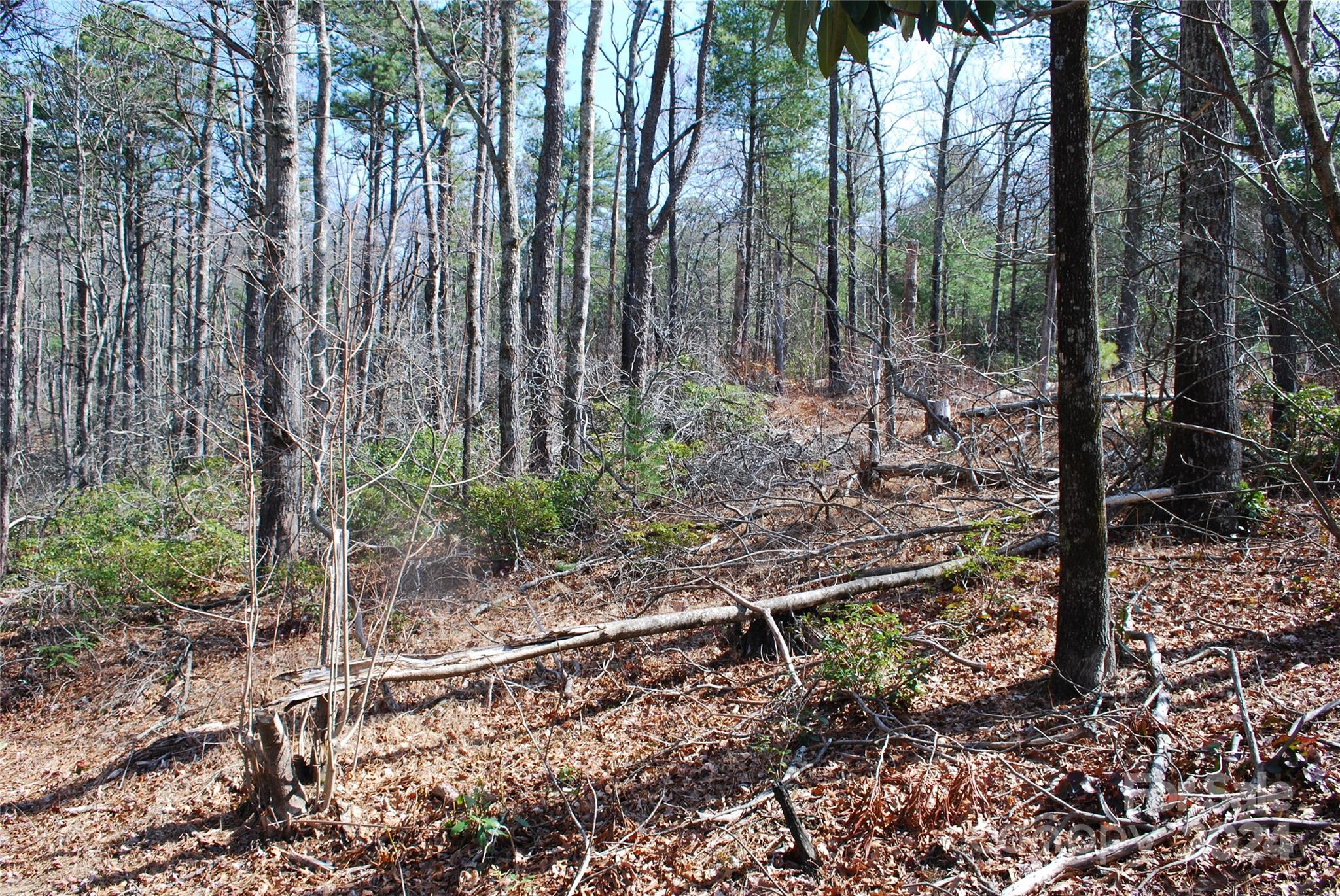 Lot 37-tbd Dugger Firetower Road Boone, NC 28607 - Photo 12 of 14 Gallery Image 12