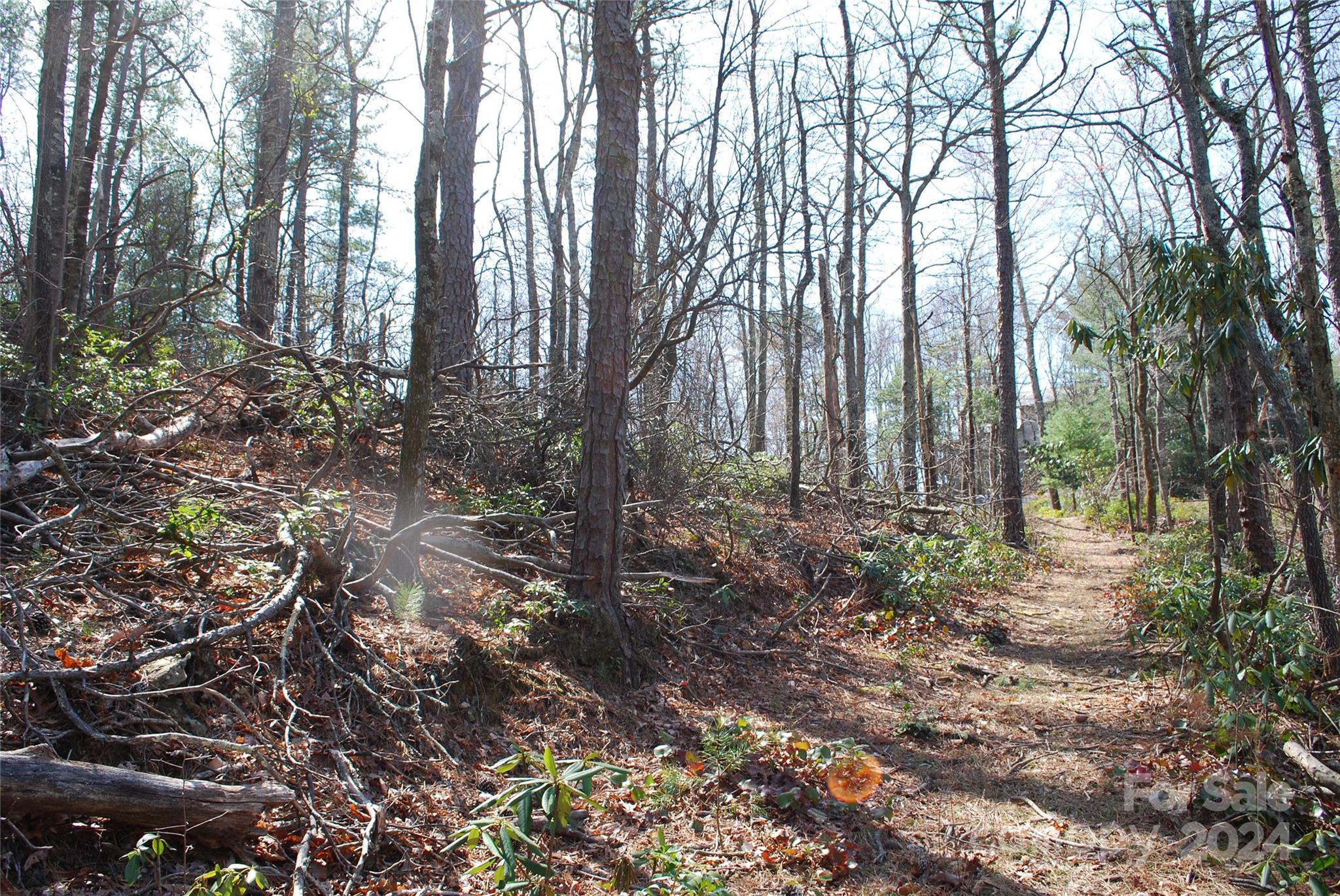 Lot 37-tbd Dugger Firetower Road Boone, NC 28607 - Photo 13 of 14 Gallery Image 13