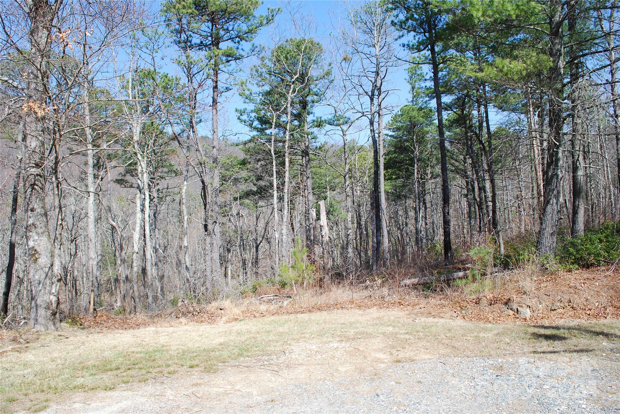 Lot 37-tbd Dugger Firetower Road Boone, NC 28607 - Photo 14 of 14 Gallery Image 14