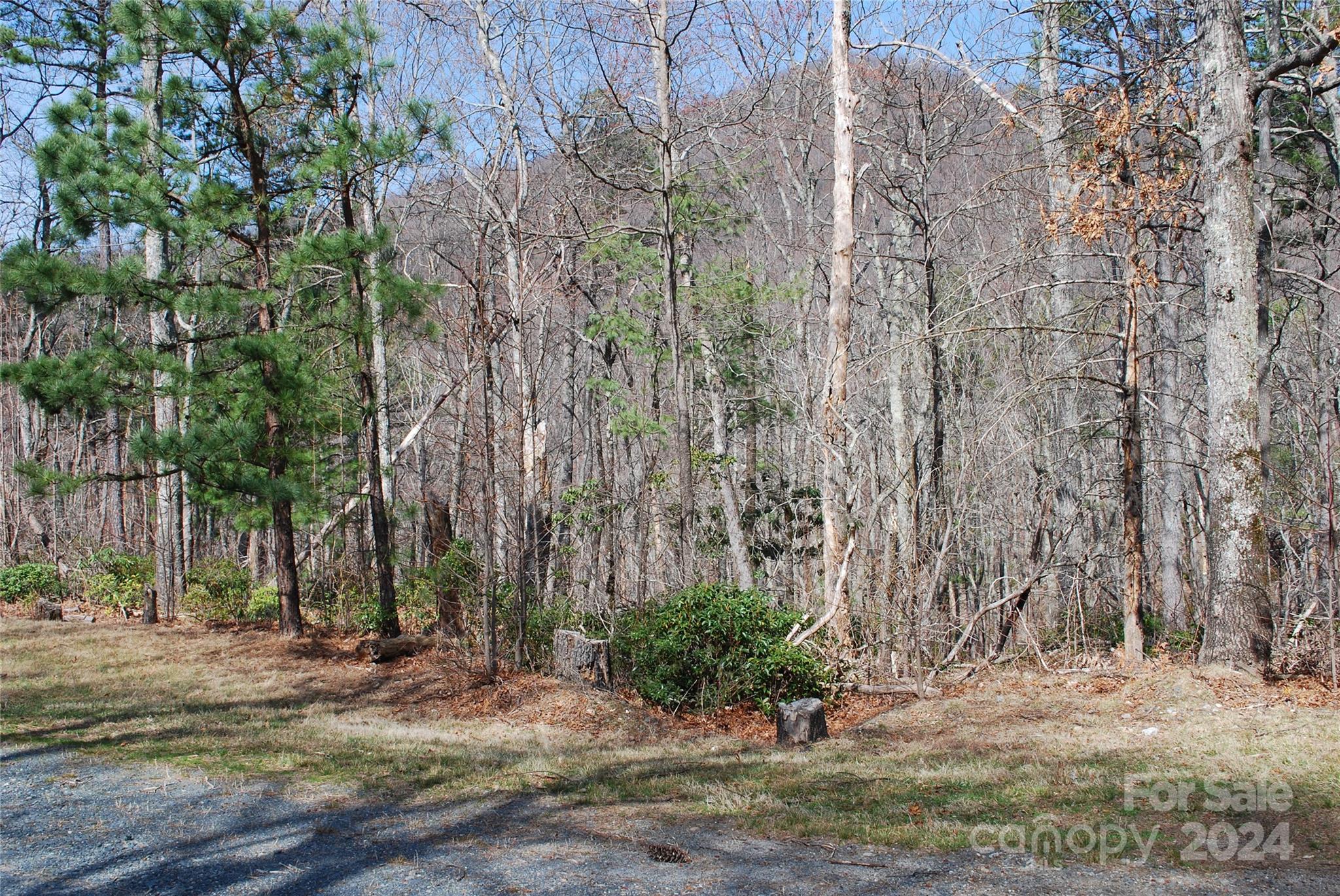 Lot 37-tbd Dugger Firetower Road Boone, NC 28607 - Photo 2 of 14 Gallery Image 2