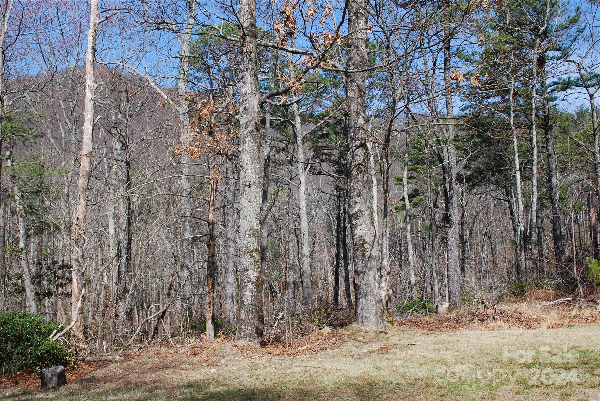 Lot 37-tbd Dugger Firetower Road Boone, NC 28607 - Photo 3 of 14 Gallery Image 3