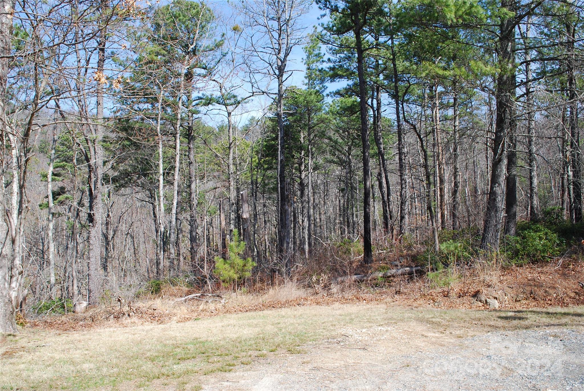 Lot 37-tbd Dugger Firetower Road Boone, NC 28607 - Photo 4 of 14 Gallery Image 4