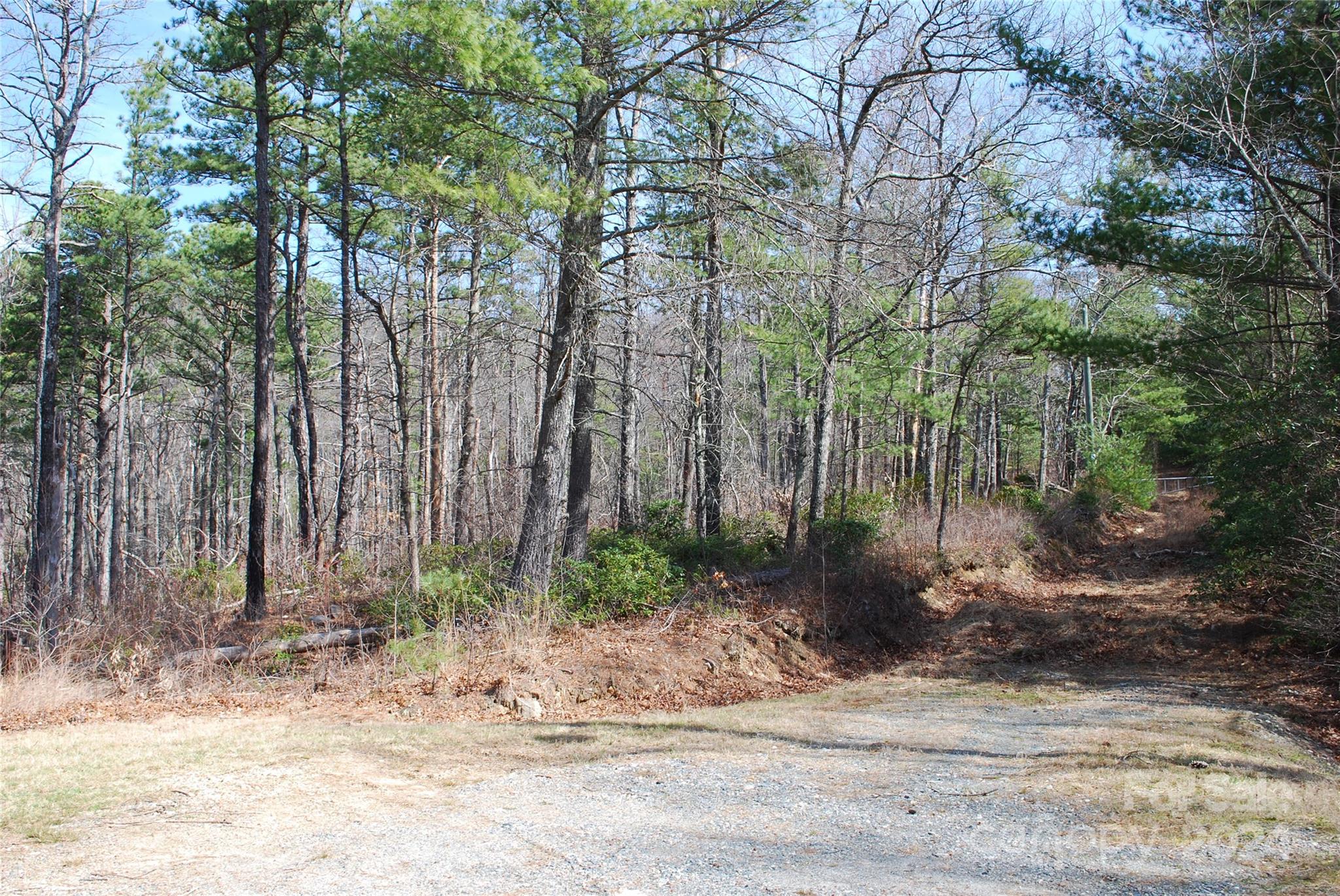 Lot 37-tbd Dugger Firetower Road Boone, NC 28607 - Photo 5 of 14 Gallery Image 5