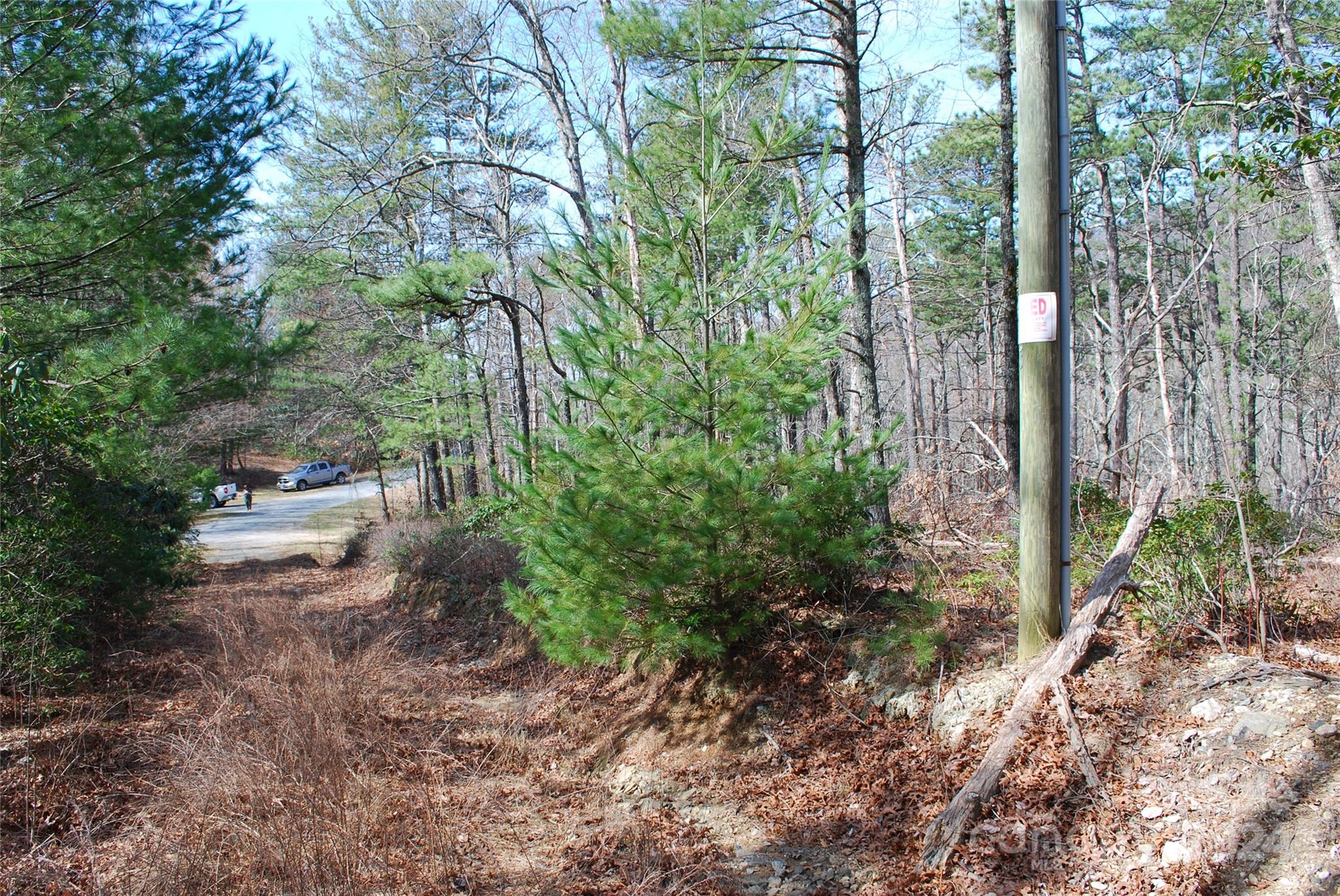 Lot 37-tbd Dugger Firetower Road Boone, NC 28607 - Photo 6 of 14 Gallery Image 6