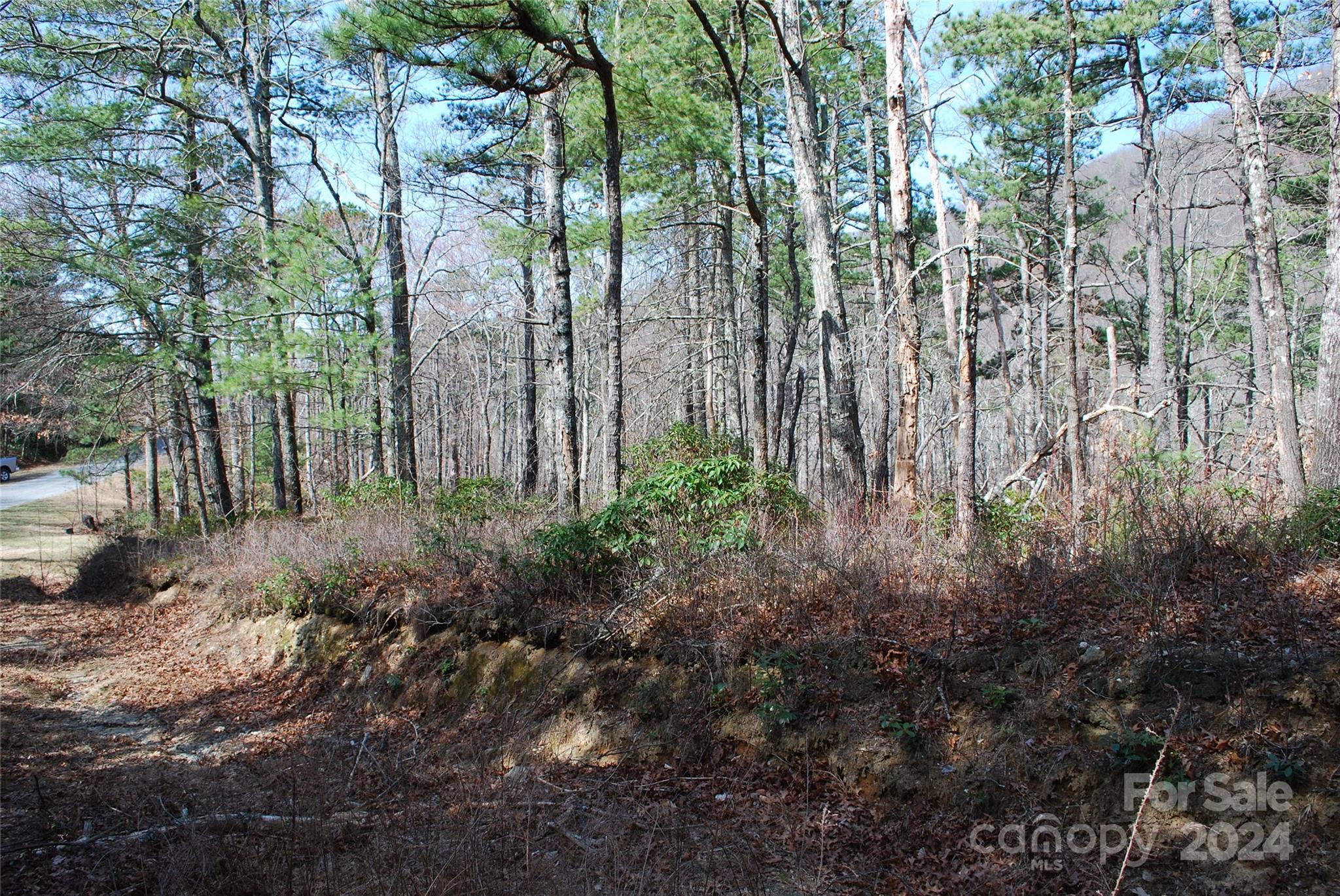 Lot 37-tbd Dugger Firetower Road Boone, NC 28607 - Photo 7 of 14 Gallery Image 7