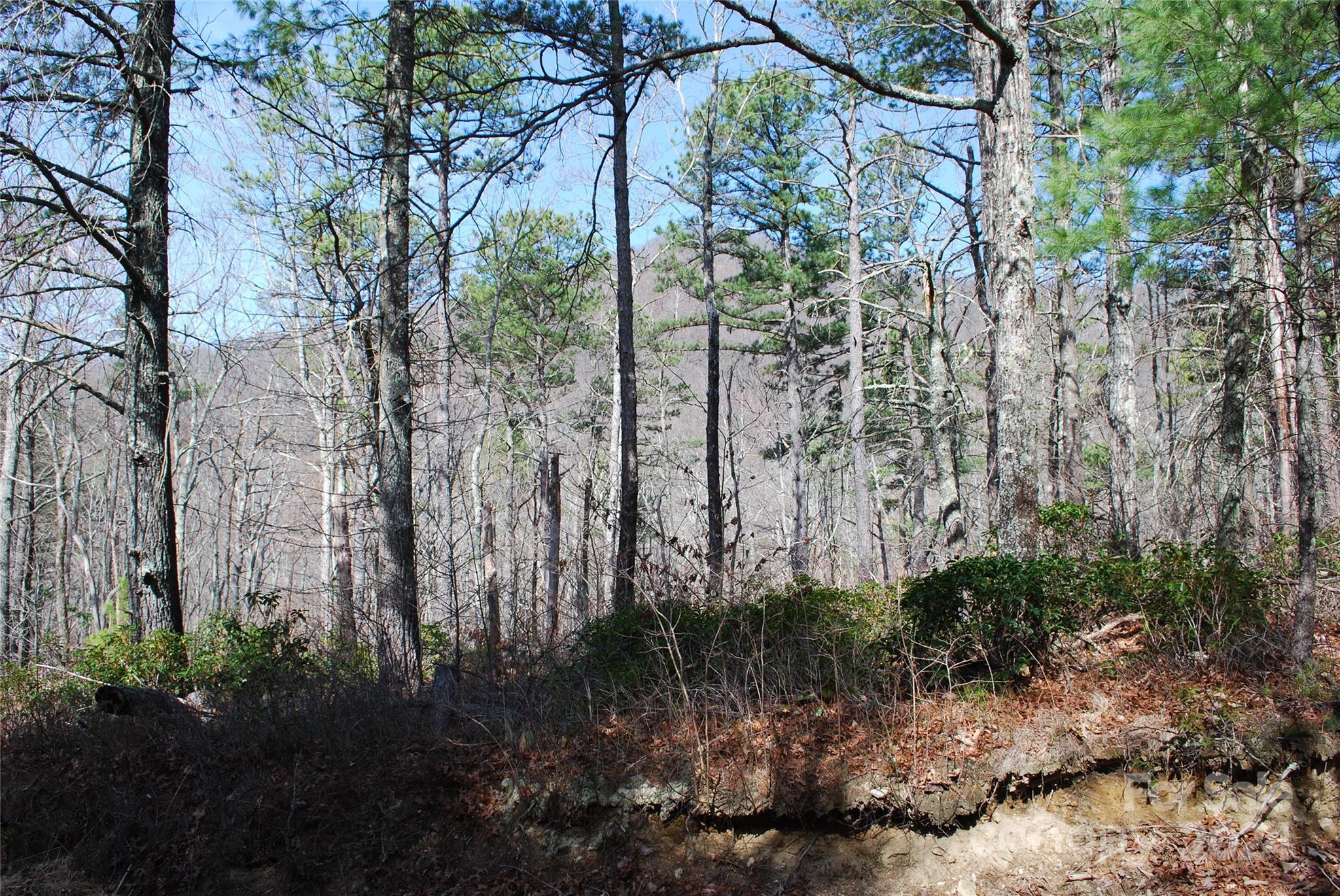Lot 37-tbd Dugger Firetower Road Boone, NC 28607 - Photo 8 of 14 Gallery Image 8
