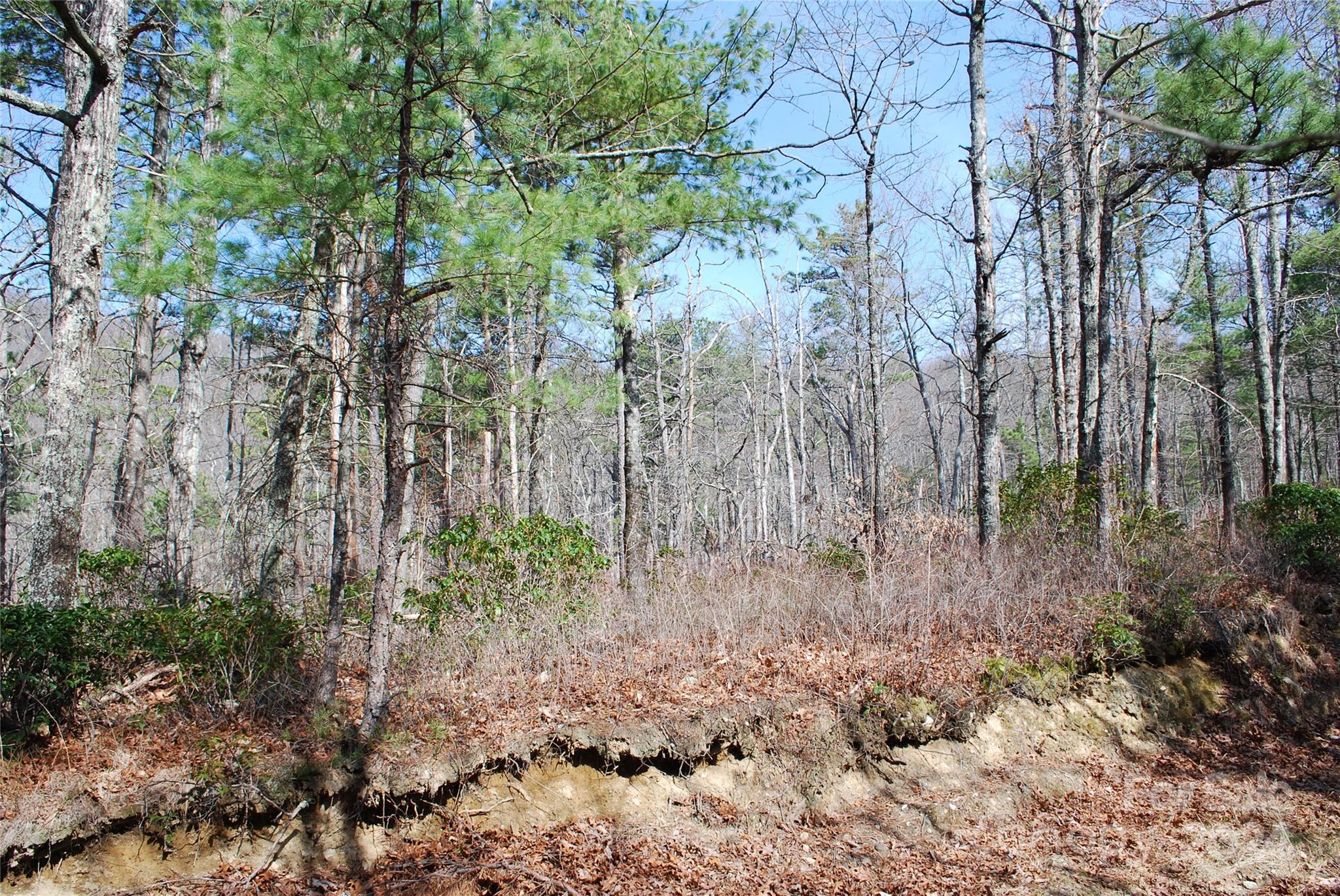 Lot 37-tbd Dugger Firetower Road Boone, NC 28607 - Photo 9 of 14 Gallery Image 9