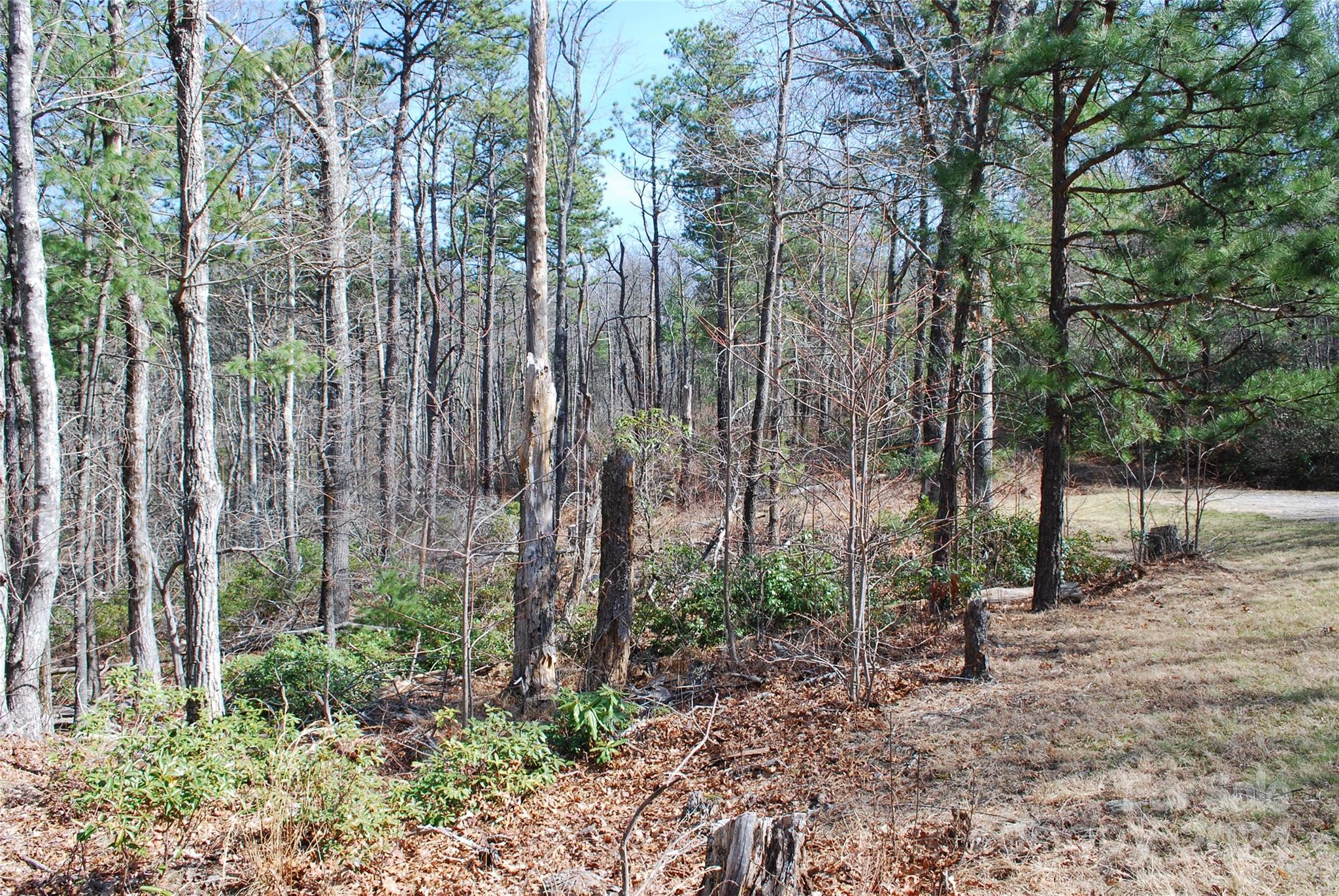 Lot 37-tbd Dugger Firetower Road Boone, NC 28607 - Photo 10 of 14 Gallery Image 10