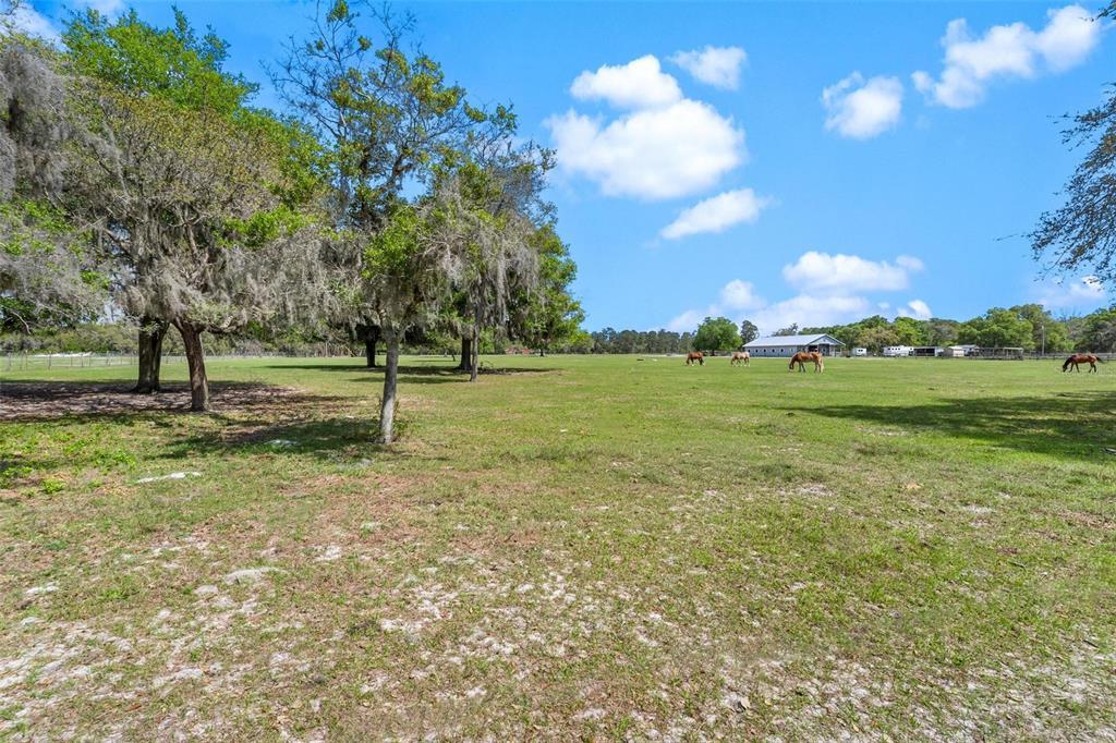 Winterwillow Lane Eustis, FL 32736 - Photo 1 of 28 a view of outdoor space with green field and trees