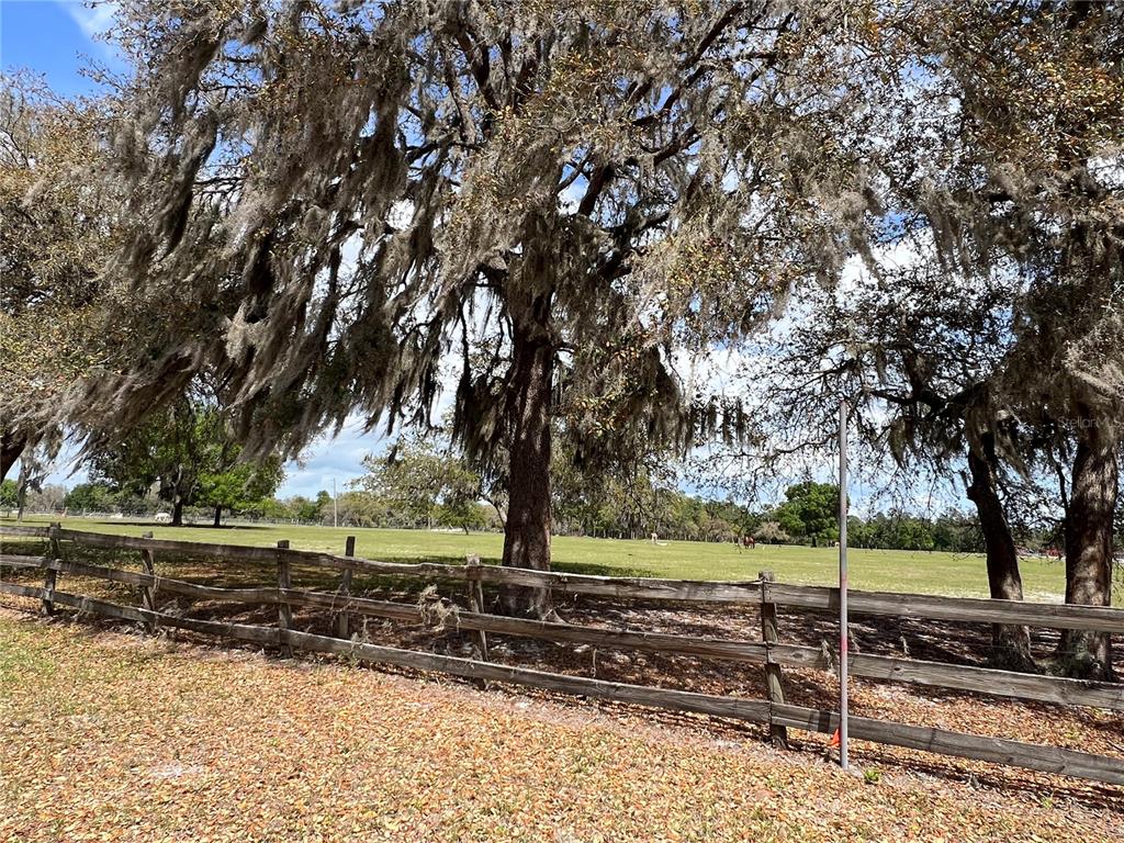 Winterwillow Lane Eustis, FL 32736 - Photo 18 of 28 a view of a yard with a barn