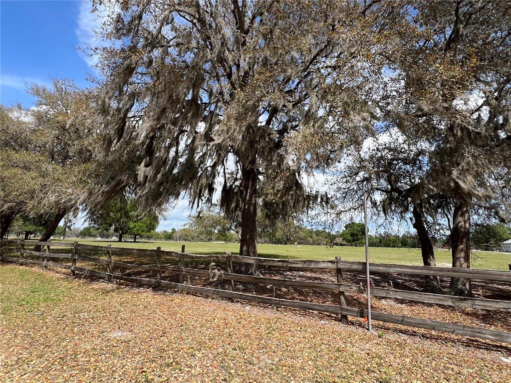 Winterwillow Lane Eustis, FL 32736 - Photo 20 of 28 a view of a yard with large trees