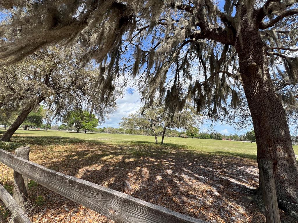 Winterwillow Lane Eustis, FL 32736 - Photo 25 of 28 a view of a yard with an trees