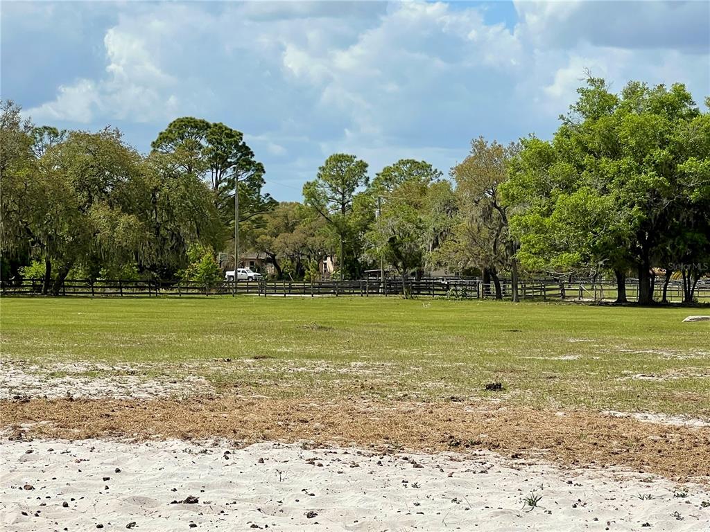 Winterwillow Lane Eustis, FL 32736 - Photo 26 of 28 a view of a field with an trees