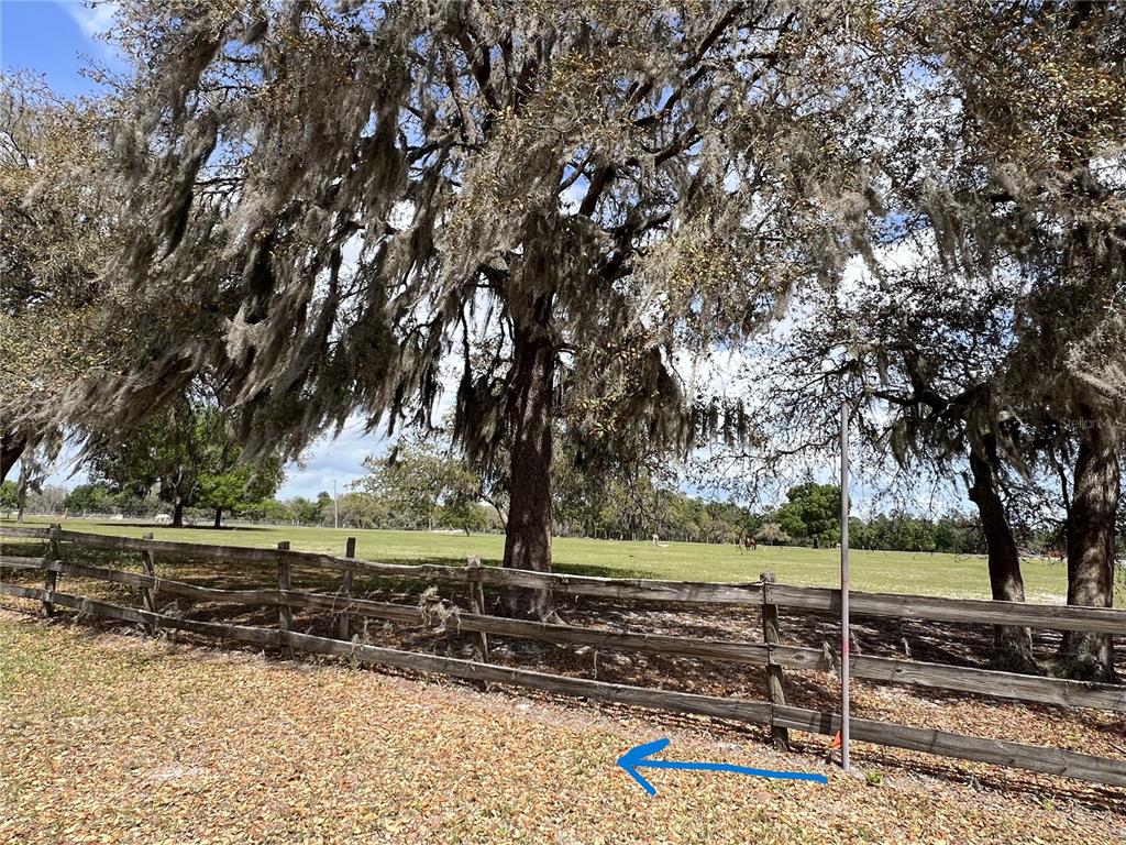 Winterwillow Lane Eustis, FL 32736 - Photo 3 of 28 a view of a yard with a barn