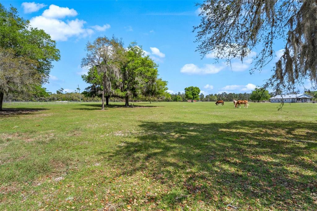 Winterwillow Lane Eustis, FL 32736 - Photo 7 of 28 a view of a field with an trees