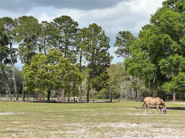 $399,000 | Winterwillow Lane, Eustis, FL 32736