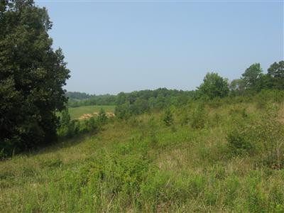 0 Oak Ridge Church Road Corbin, KY 40701 - Photo 4 of 5 Photo 4